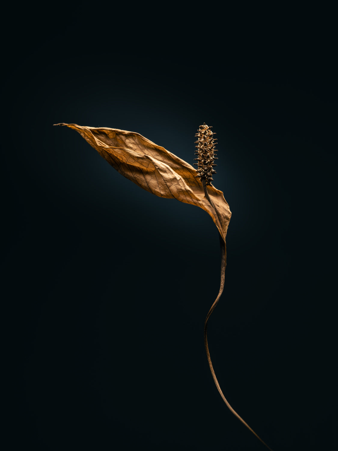 THE BEGINNING IN THE END_10