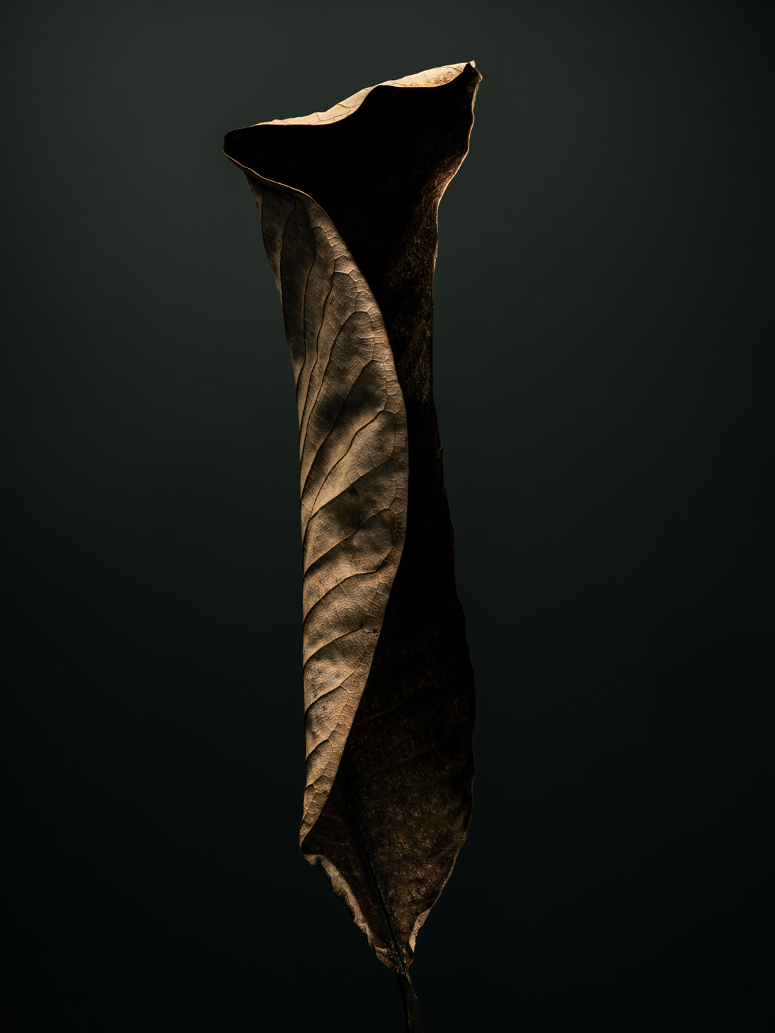 THE BEGINNING IN THE END_11