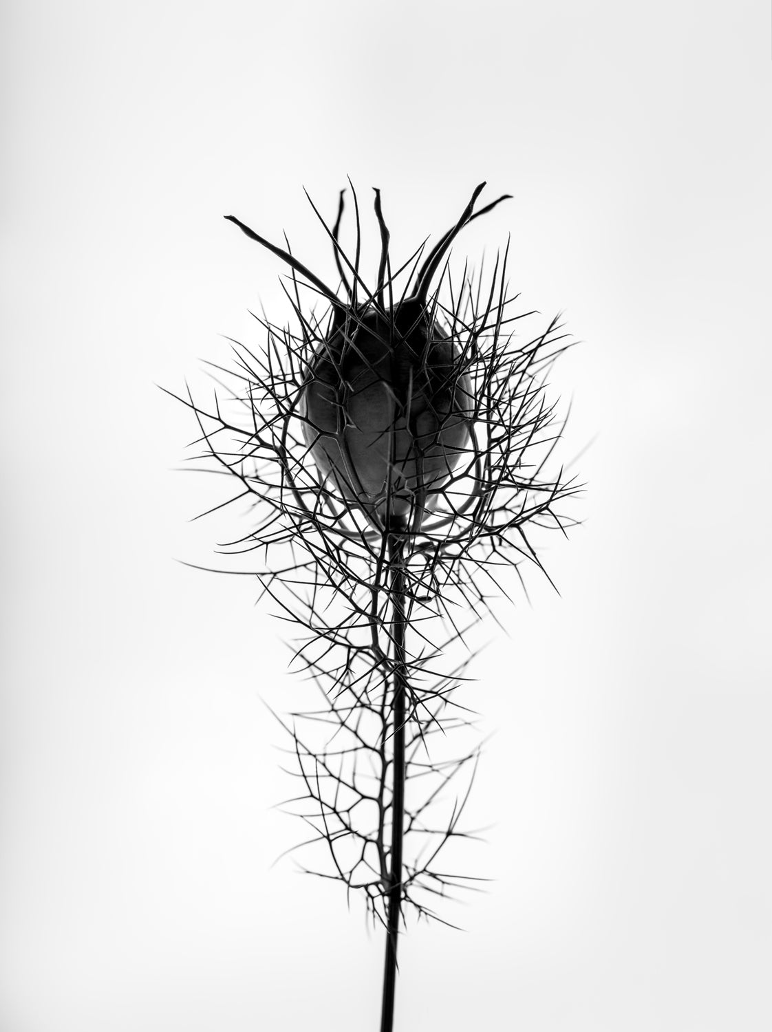 THE BEGINNING IN THE END_16