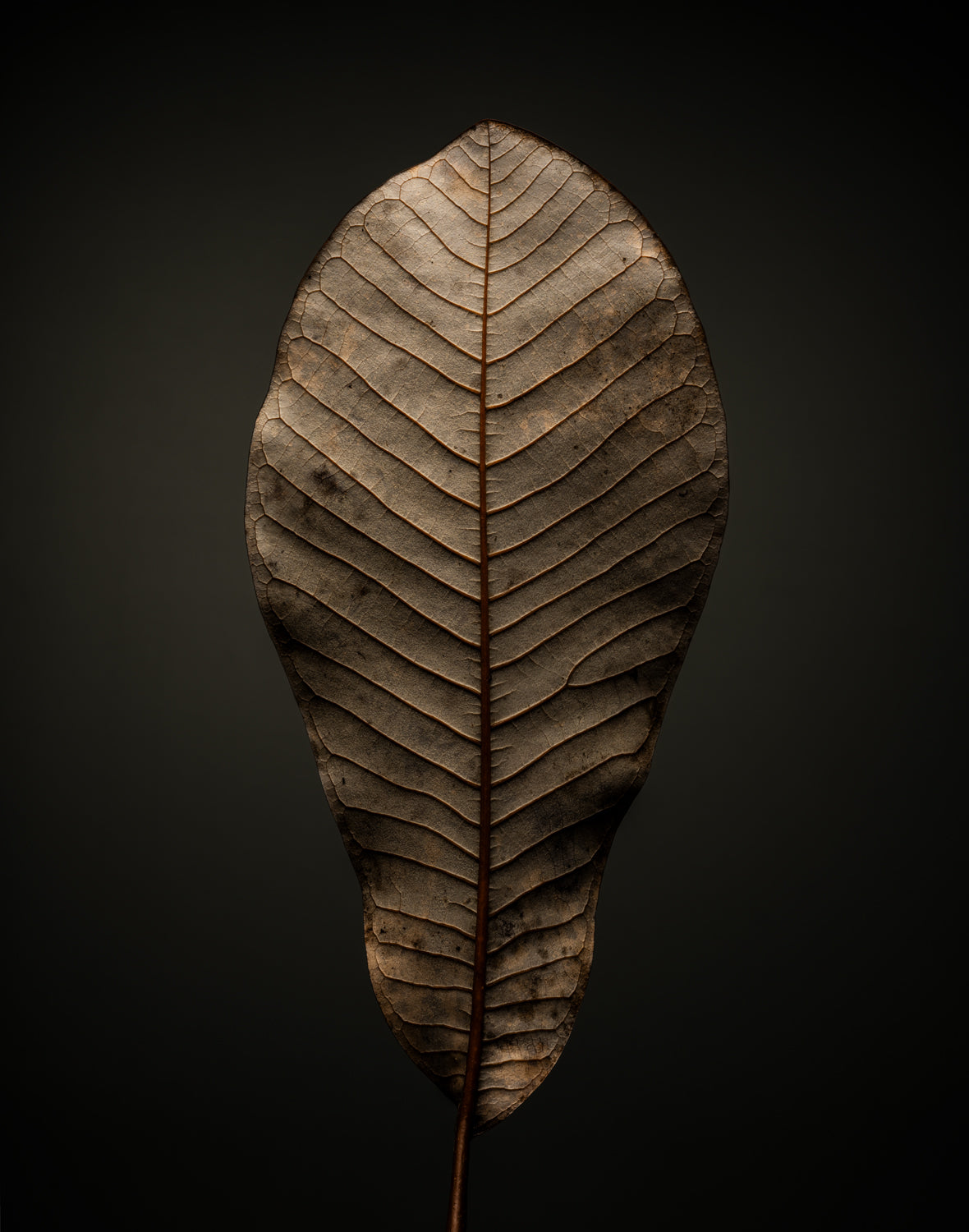 THE BEGINNING IN THE END_2