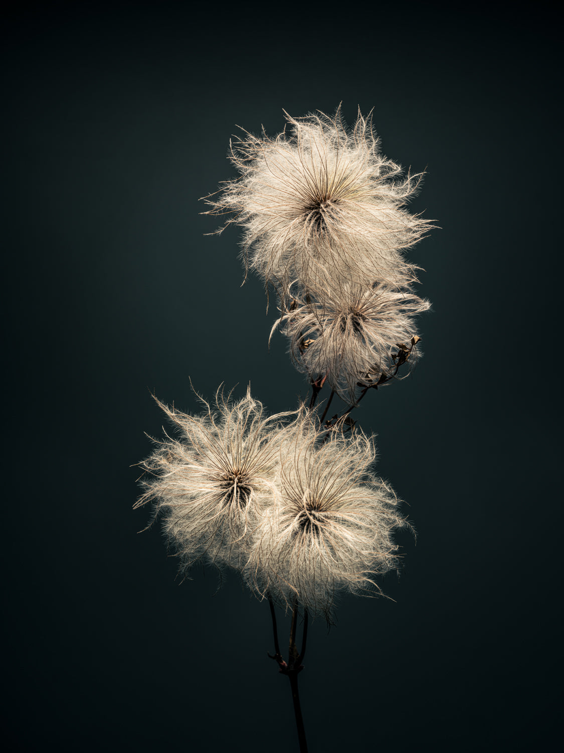 THE BEGINNING IN THE END_3