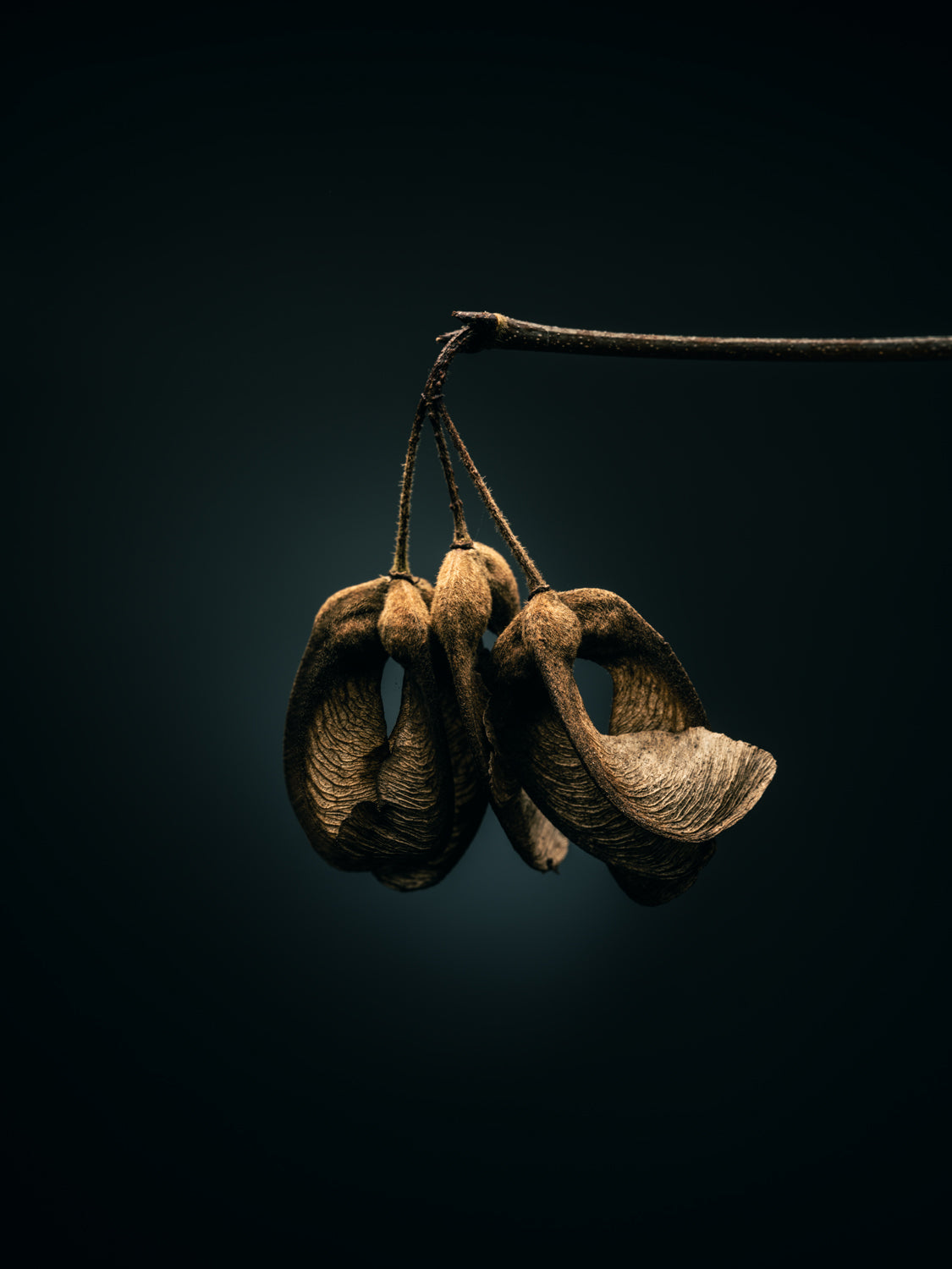 THE BEGINNING IN THE END_6