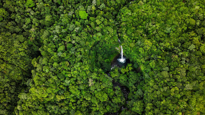 Jörg Weusthoff from Kirchbach 9