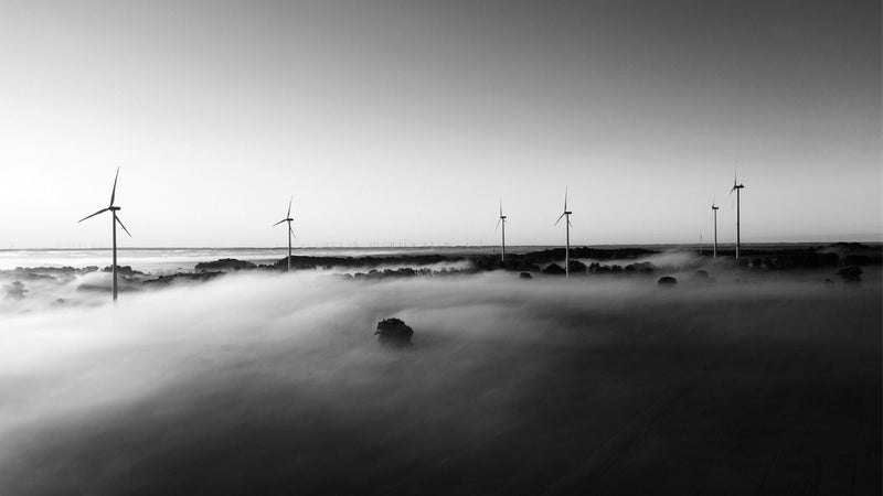 Early morning fog – Germany