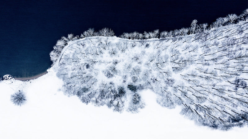 White robe – Öjendorfer Lake