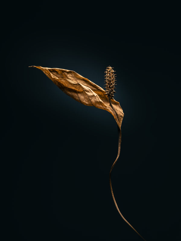 THE BEGINNING IN THE END_10