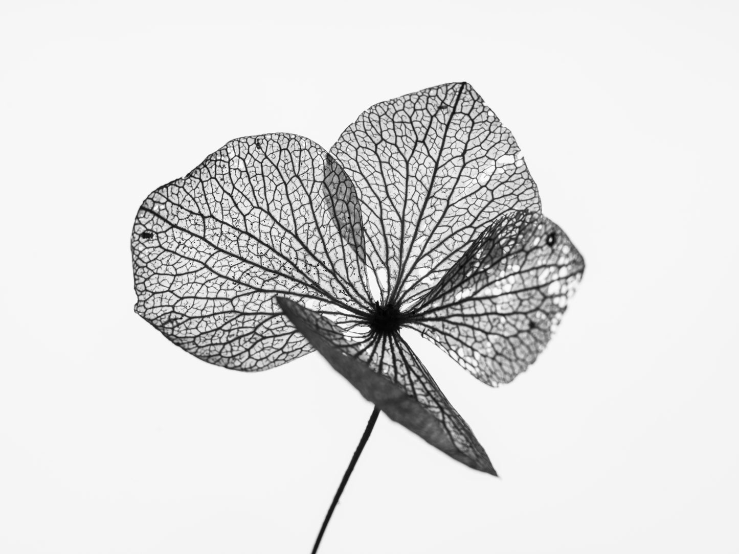 THE BEGINNING IN THE END_13