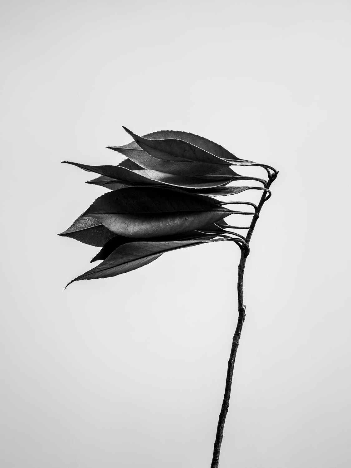 THE BEGINNING IN THE END_15