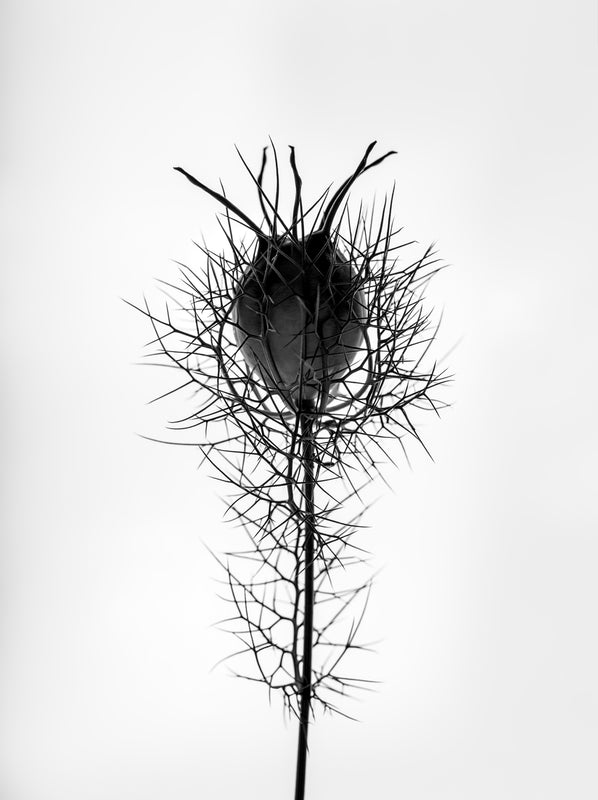 THE BEGINNING IN THE END_16