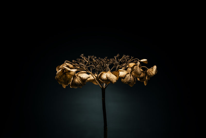 THE BEGINNING IN THE END_1