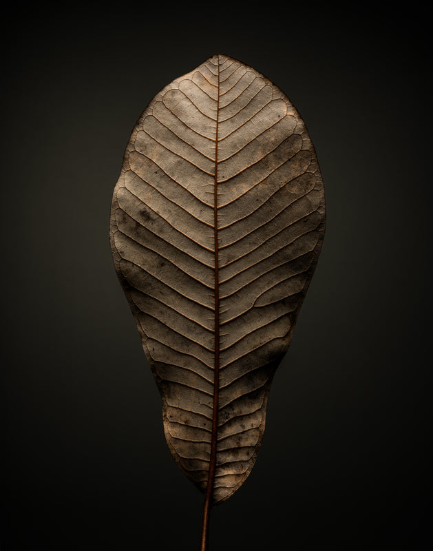 THE BEGINNING IN THE END_2