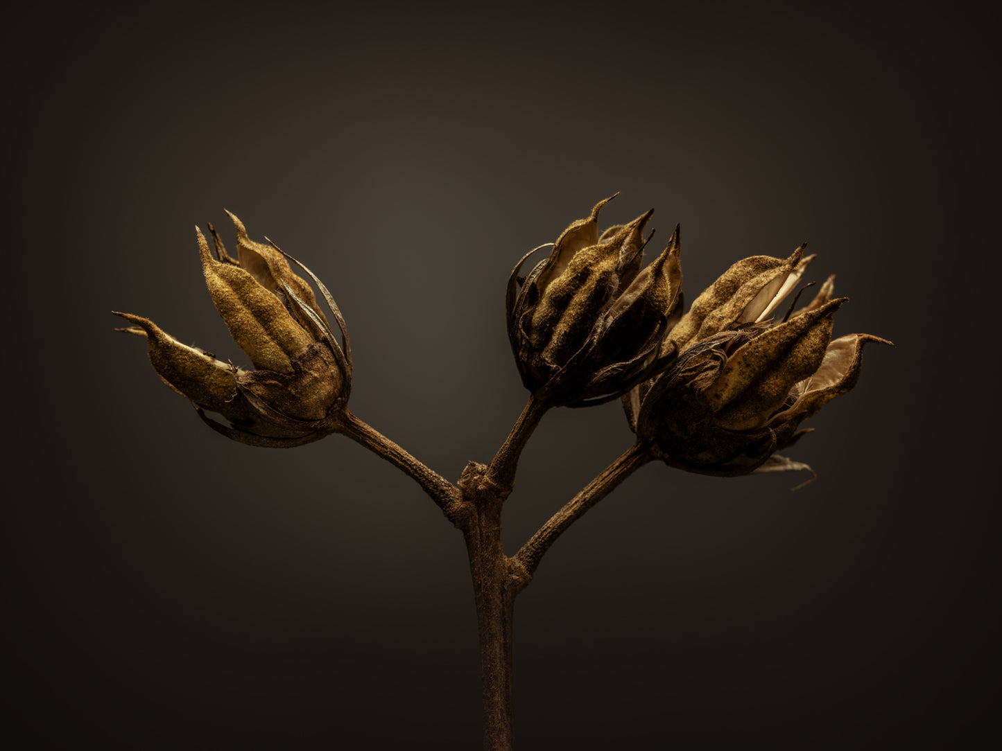 THE BEGINNING IN THE END_5