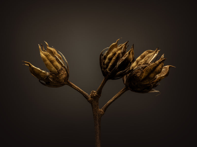 THE BEGINNING IN THE END_5