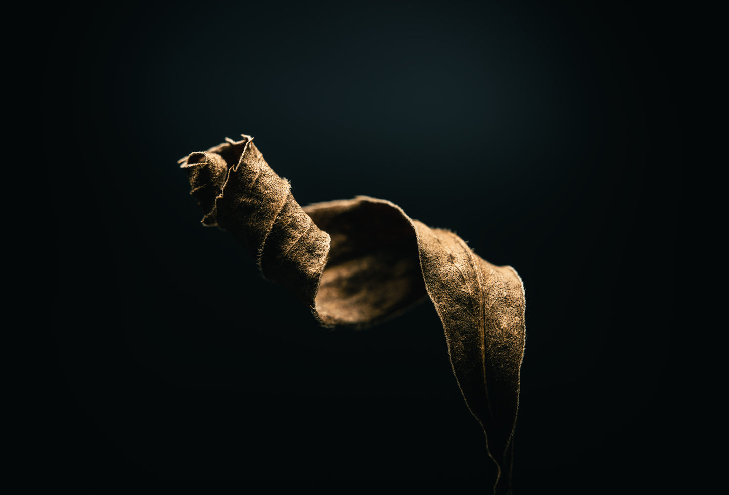 THE BEGINNING IN THE END_7